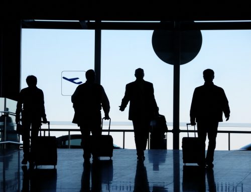 Travelers IRS Audit | MFI Works Case Study